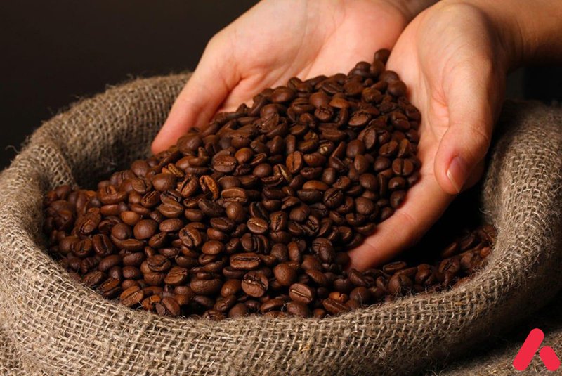 kinh nghiệm lựa chọn nguồn cung cấp hạt cafe