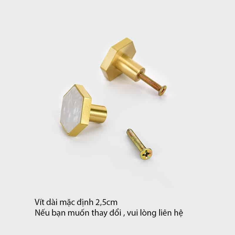 Tay nắm lục giác khảm xà cừ YM3024W